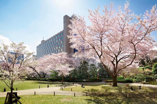 프린스사쿠라타워도쿄,도쿄호텔,도쿄숙소