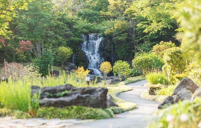 제주호텔,제주호캉스,제주포도호텔,제주핀크스포도호텔,