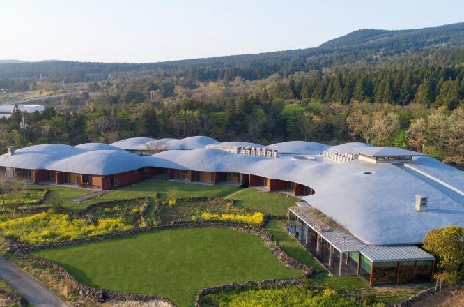 제주호텔,제주호캉스,제주포도호텔,제주핀크스포도호텔,