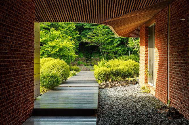 제주호텔,제주호캉스,제주포도호텔,제주핀크스포도호텔,