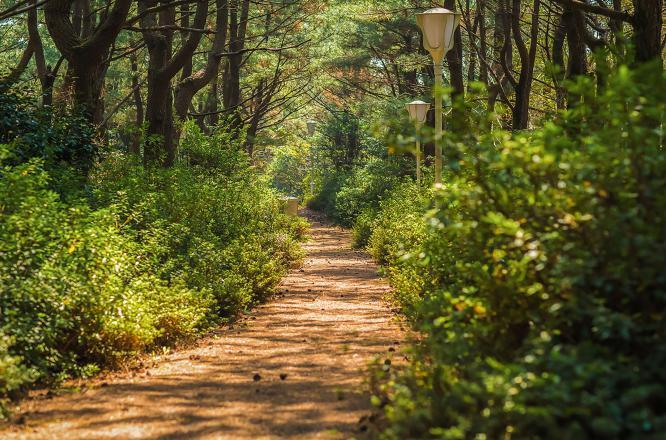 제주호텔,한라산호텔,제주웰니스,WE호텔제주