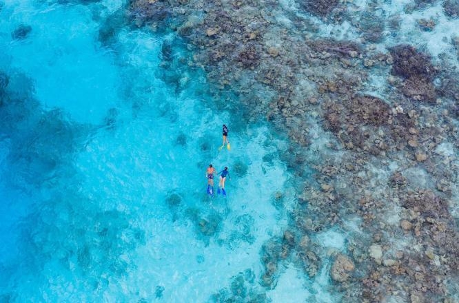 몰디브빌라,몰디브신혼여행리조트,몰디브신혼여행,래플스몰디브메라드후리조트