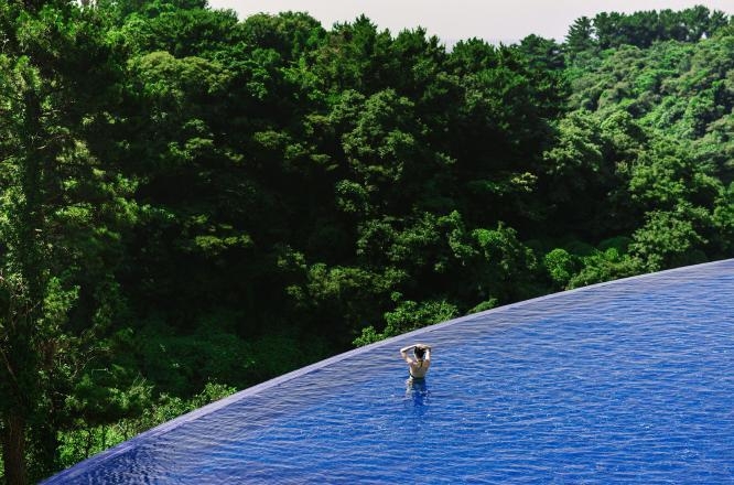 히든클리프호텔&네이쳐,제주호텔,서귀포호텔,인피니티풀호텔,수영장호텔