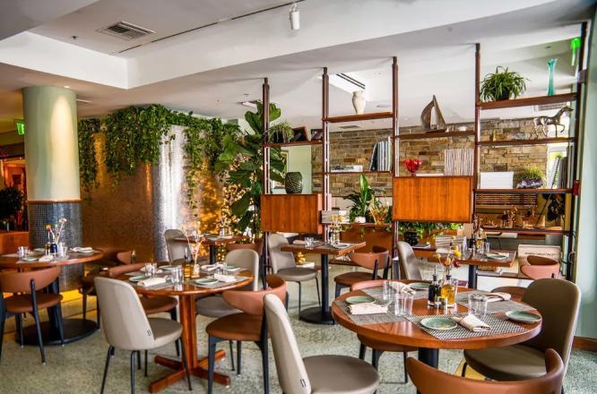 펠리컨호텔,미국호텔,미국숙소,오션드라이브,마이애미비치