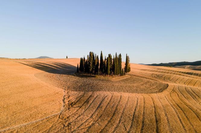 브루넬로디몬탈치노, 이탈리아호텔,와이너리호텔,와인호텔,로즈우드카스틸리온델보스코