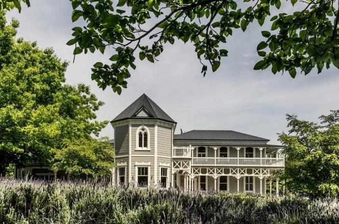 뉴질랜드호텔,와이너리호텔,말보로소비뇽블랑,더말보로