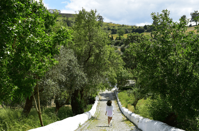 포우사다 콘벤투 데 아하이올루스,포르투갈숙소
