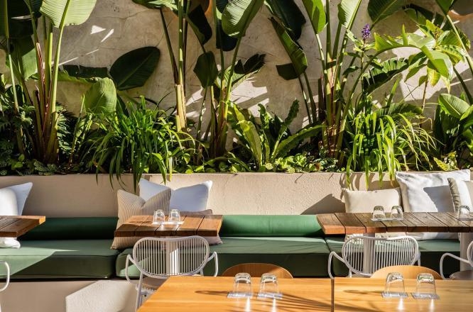 옥스포드하우스,시드니호텔,시드니숙소,서리힐스호텔