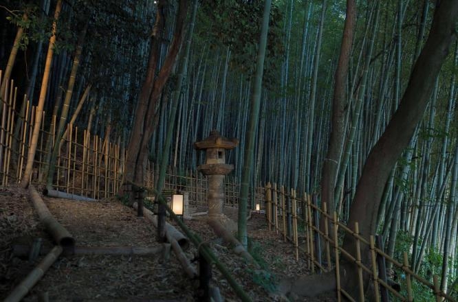 교토호텔,교토호캉스,교토신상호텔,반얀트리히가시야마교토