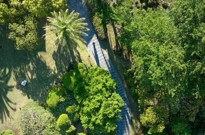 제주호텔,쉬리의언덕,중문호텔,제주호캉스,제주신라호텔