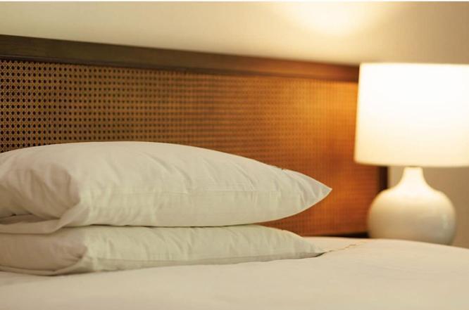 제주호텔,제주이타미준,한라산뷰호텔,포도호텔