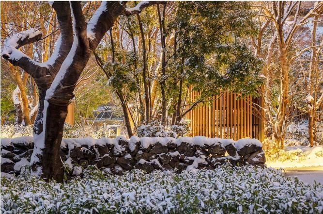 제주호텔,제주호캉스,롯데올레트레일,롯데호텔제주