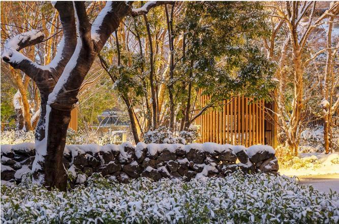 제주호텔,제주호캉스,롯데올레트레일,롯데호텔제주