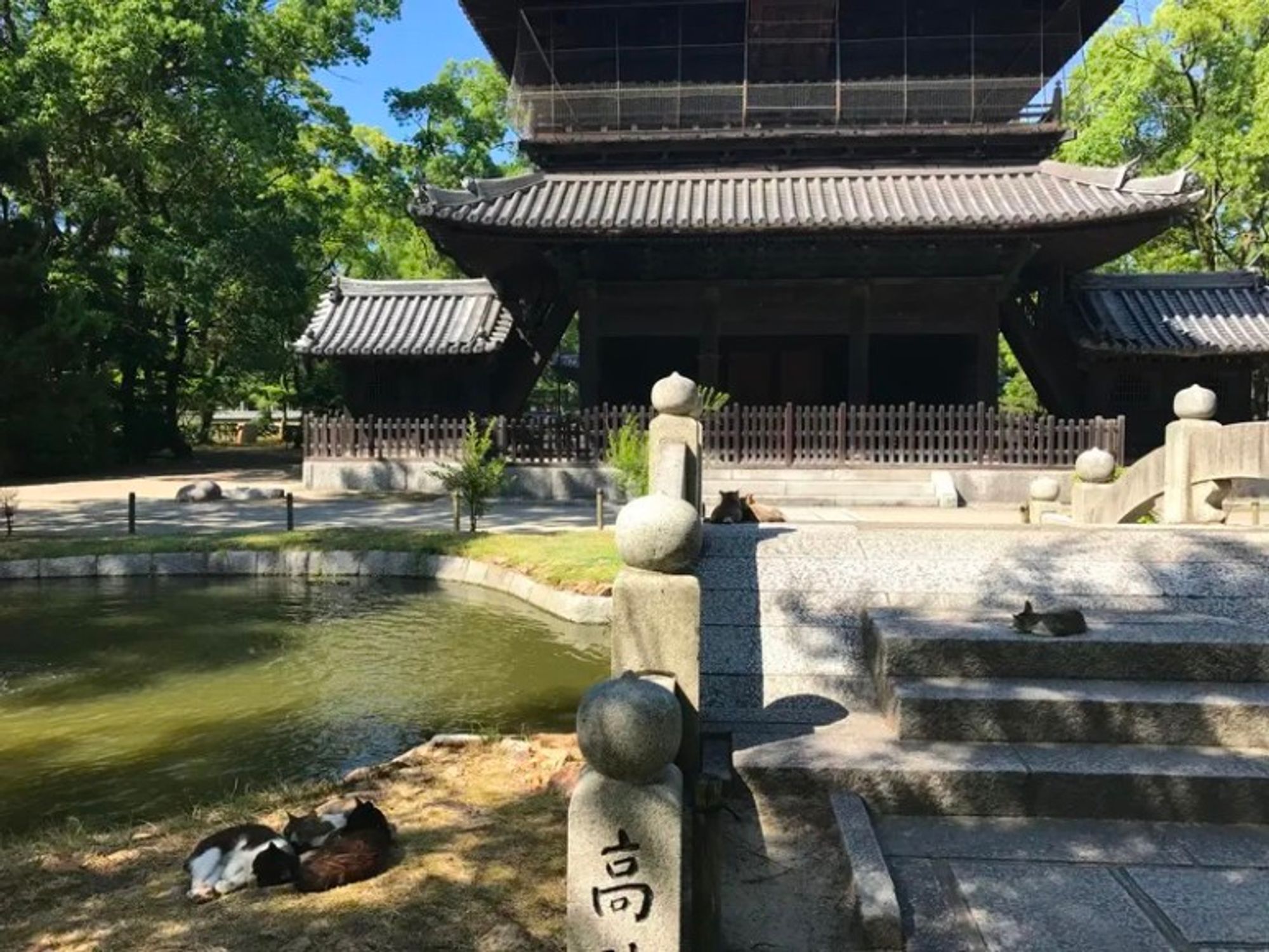 후쿠오카 여행, 후쿠오카 호텔, 후쿠오카 타워, 후쿠오카 관광지, 후쿠오카 여행코스