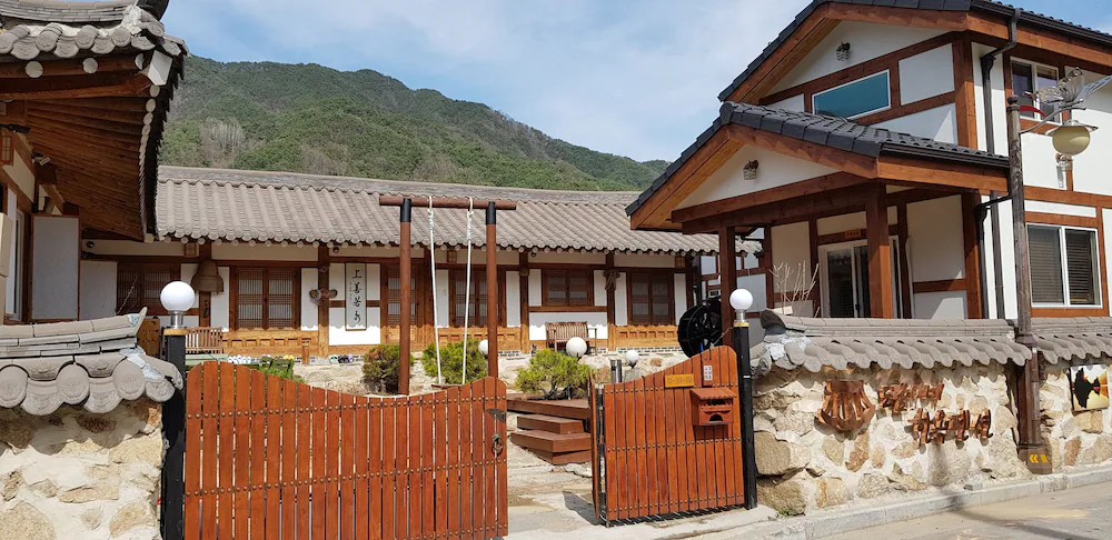 단양 여행 1박 2일, 패러글라이딩 체험, 단양 숙소, 익스트림 스포츠, 가족여행 추천 
