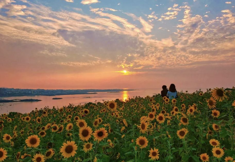 에코랜드 호텔, 제주 에코랜드, 제주도 호캉스, 제주 호캉스, 제주도 감성 숙소