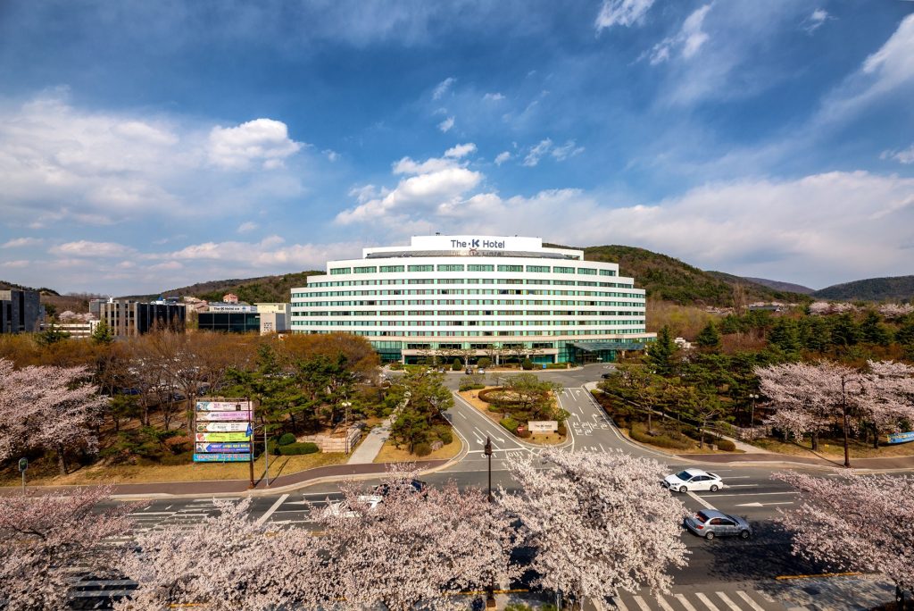 벚꽃 호텔, 경주 벚꽃 호텔, 경주 벚꽃, 경주 벚꽃 축제 일정, 경주 벚꽃 여행