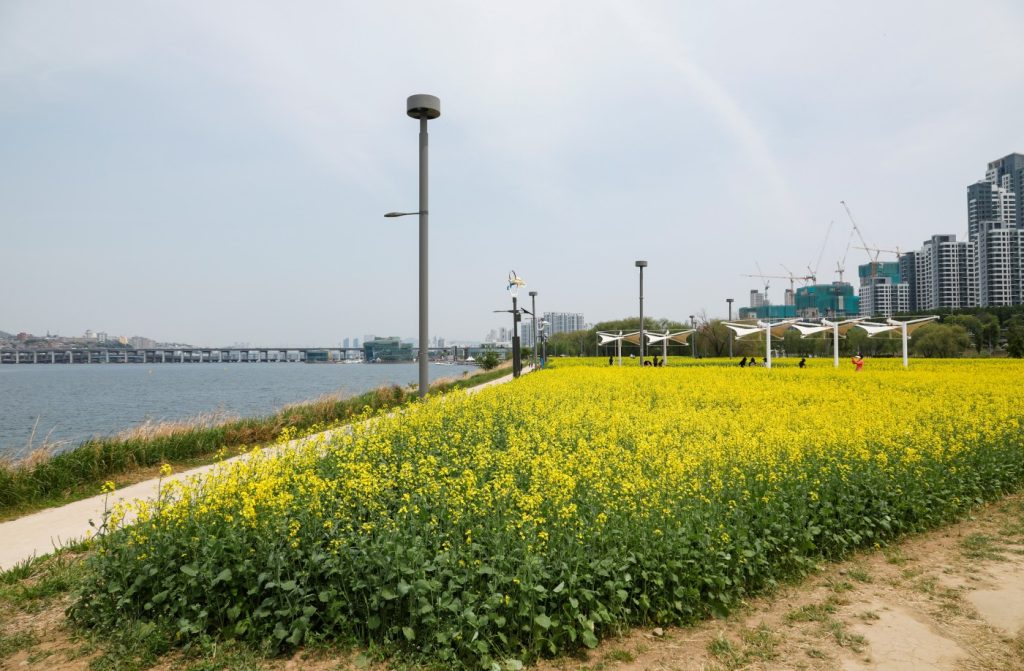 국내 봄 여행지, 국내 봄 여행지 추천, 봄 여행지 추천, 국내 3월 여행지, 국내 4월 여행지 