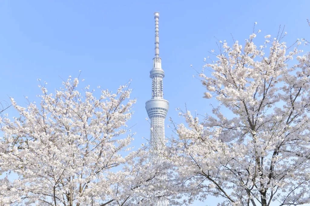 도쿄 스카이트리