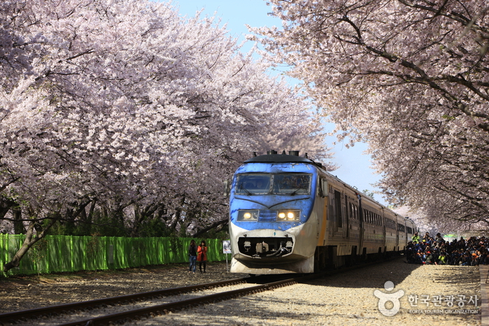 진해 군항제 호텔