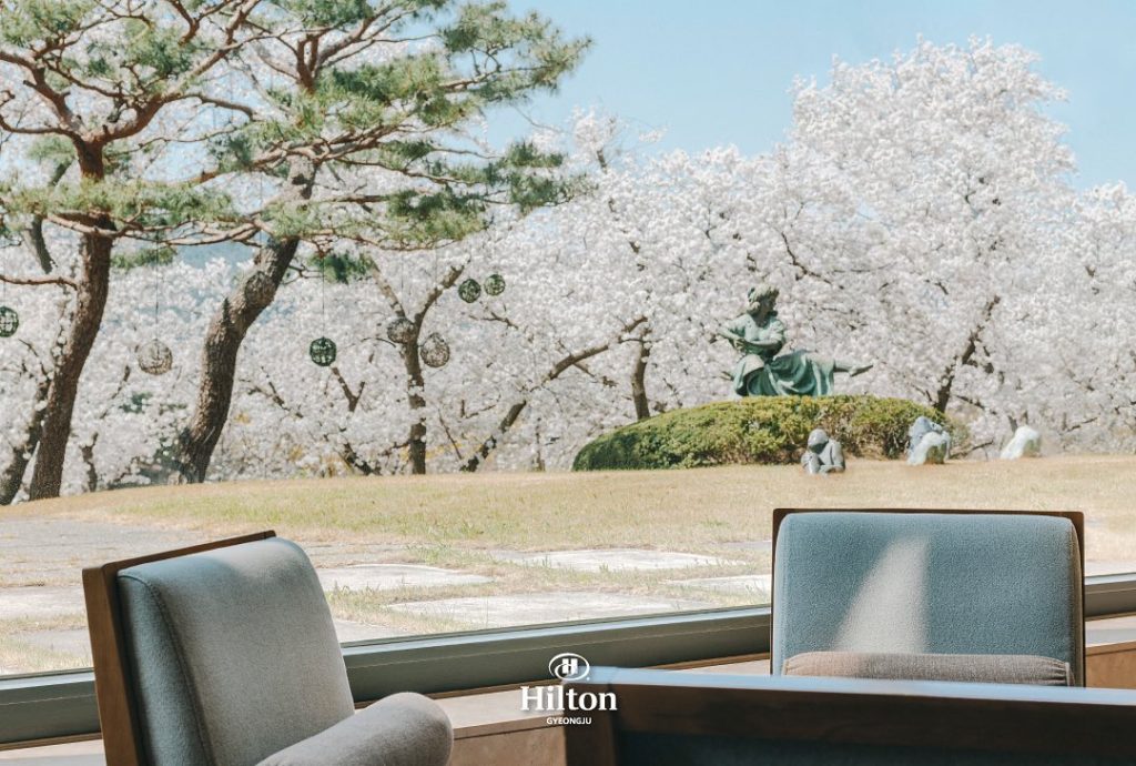 벚꽃 호텔, 경주 벚꽃 호텔, 경주 벚꽃, 경주 벚꽃 축제 일정, 경주 벚꽃 여행