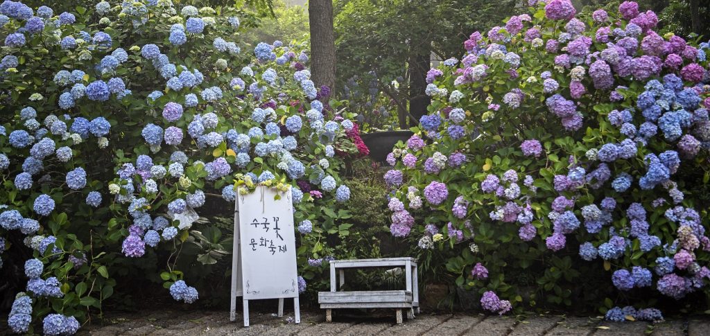 6월 여행가는달 부산