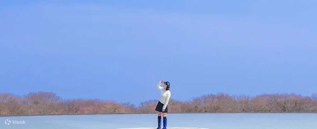 제주 돌문화공원 입장권