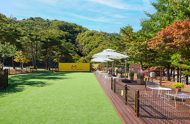 애견동반숙소 제주 한화리조트