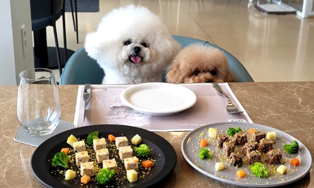 부산 애견동반 숙소 영무파라드호텔