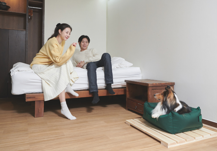 강원도 애견동반 숙소, 강원도 애견동반 호텔, 강원도 펫캉스, 강원도 숙소