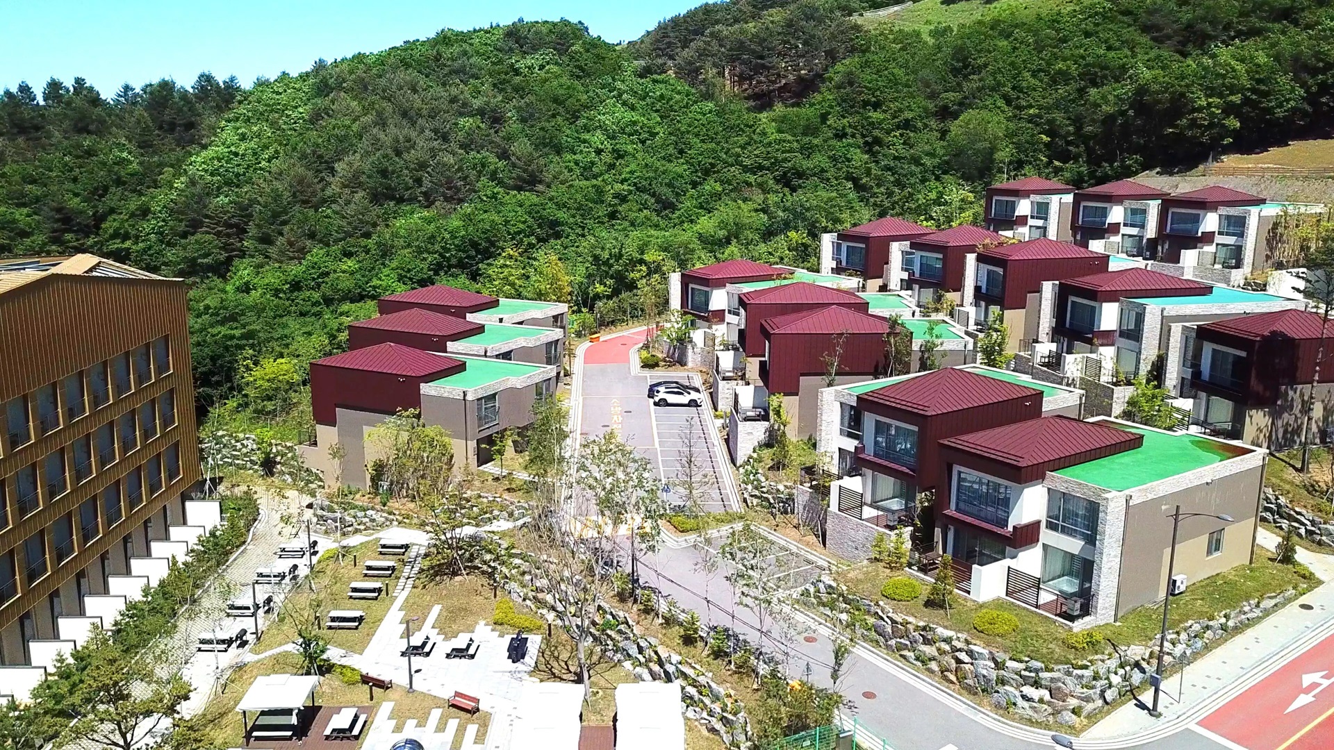 강원도 애견동반 숙소, 강원도 애견동반 호텔, 강원도 펫캉스, 강원도 숙소