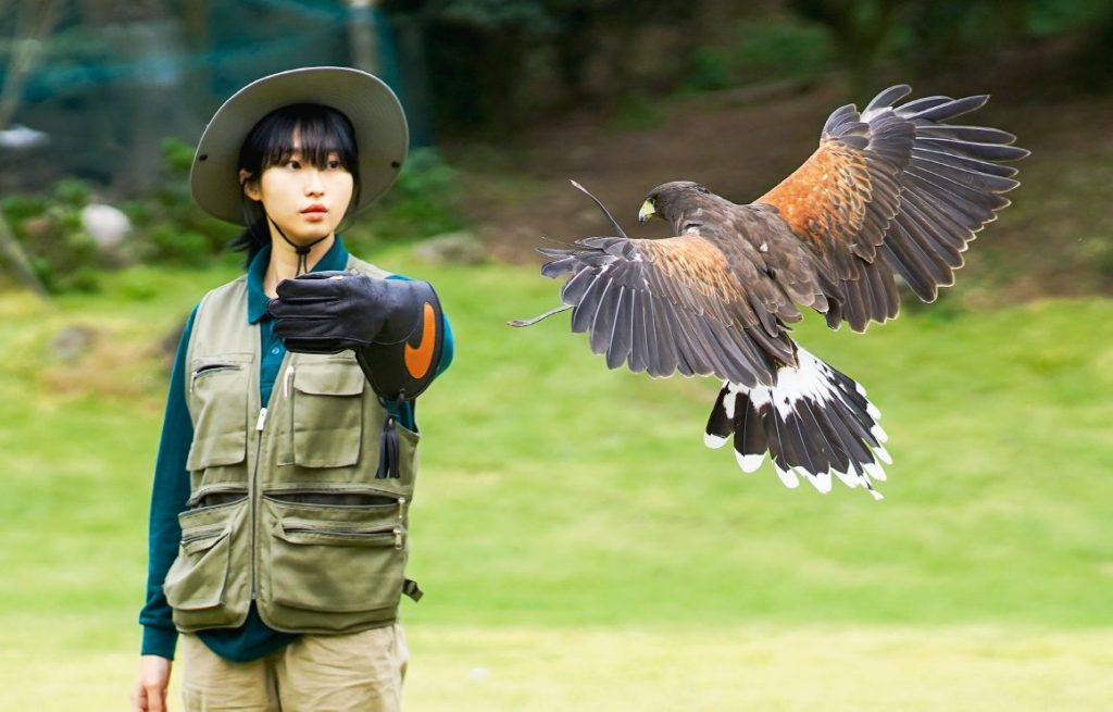 화조원 입장권