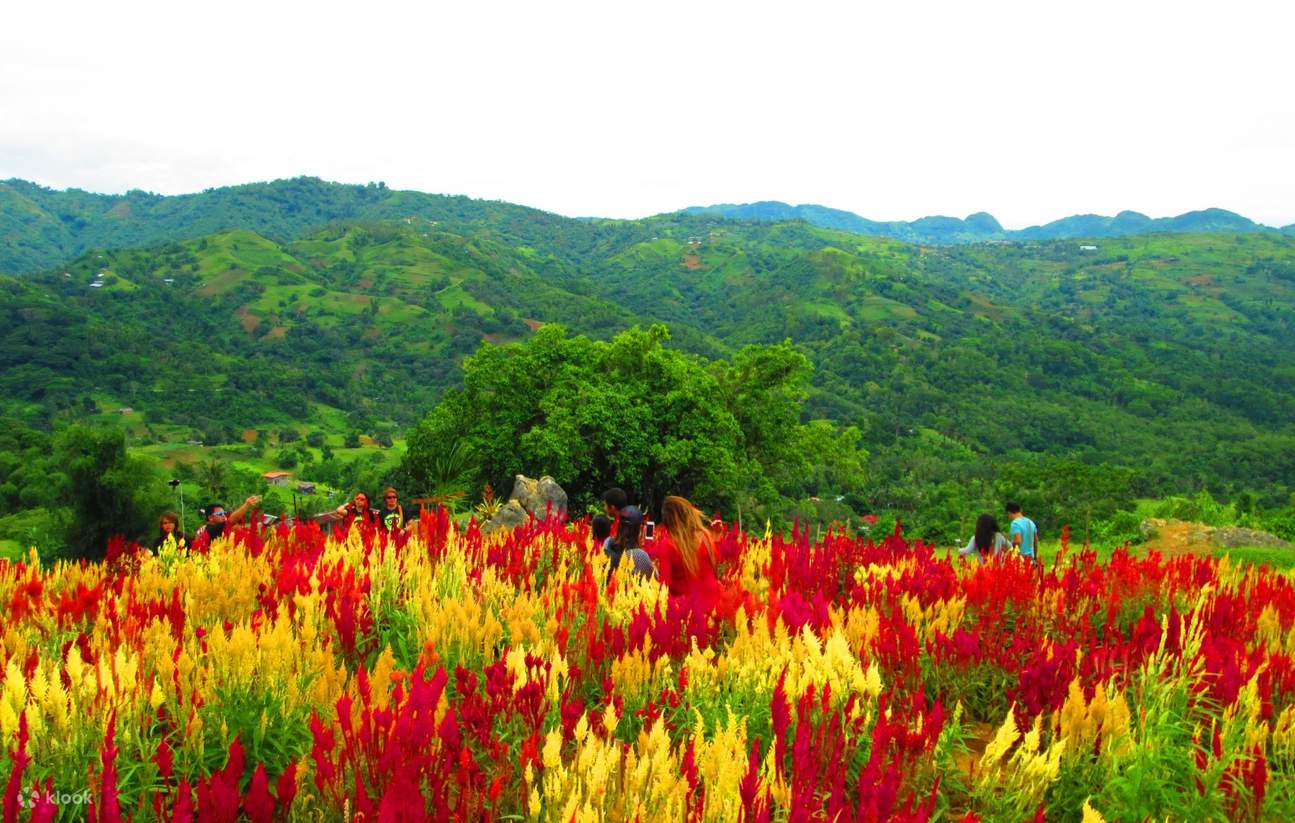 세부 시티투어, 세부 투어, 세부 여행, 세부 가볼만한곳