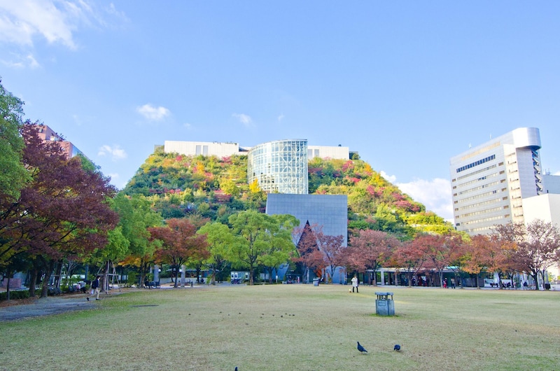후쿠오카 여행 일본 유심칩