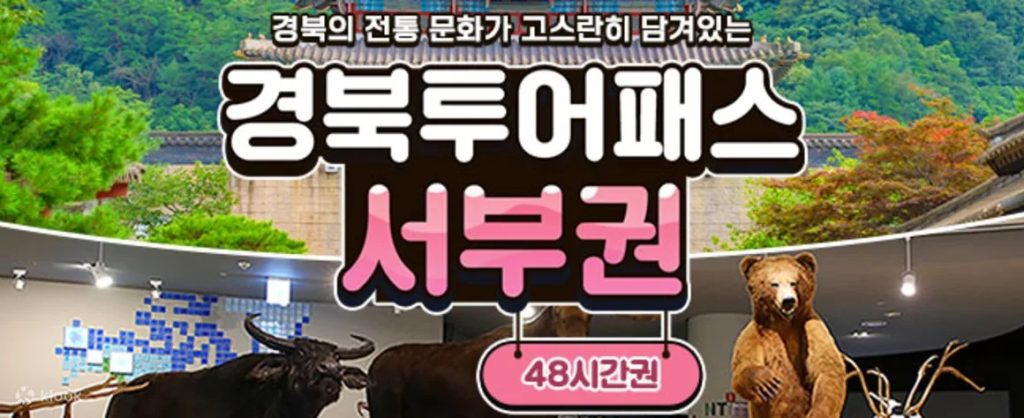문경 여행 경북투어패스 서부권