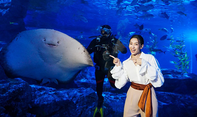 방콕 가볼만한곳 씨라이프 오션월드