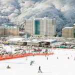홍천 소노캄, 소노캄 비발디파크, 홍천 숙소, 가족여행