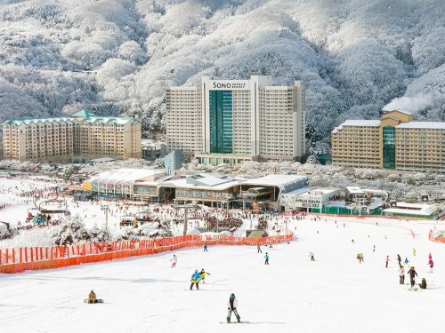 홍천 소노캄, 서울에서 1시간 반 거리의 스키 리조트