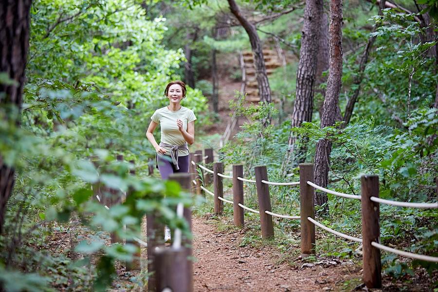 로미지안가든 워킹테라피 체험