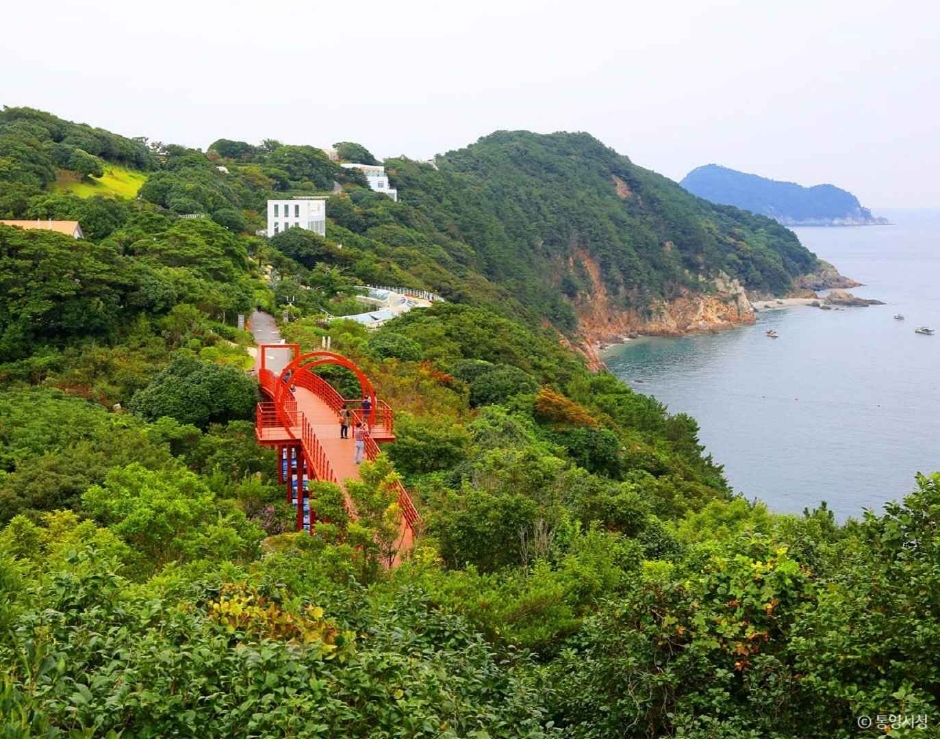 봄 국내여행지 추천, 3월 가볼만한 곳, 봄나들이, 봄꽃명소