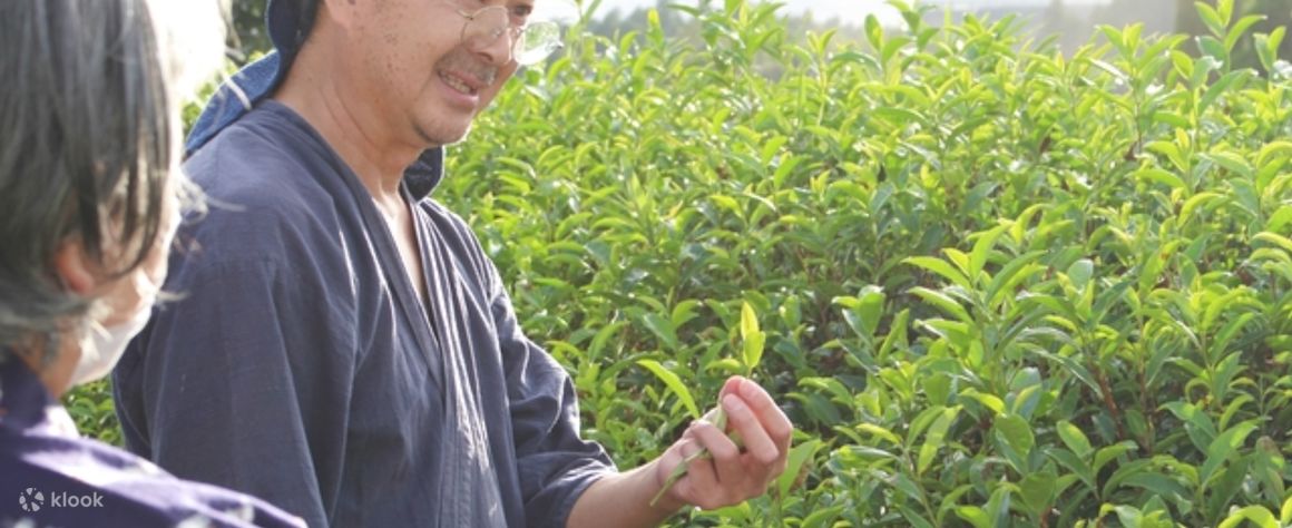 일본 소도시 여행 추천, 일본 소도시 2박 3일 여행, 일본 여행, 일본 소도시 직항