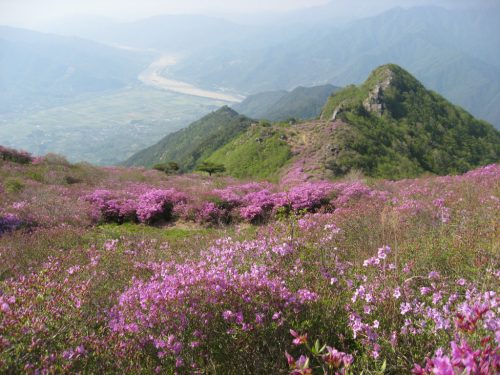 4월 5월 국내여행지 추천, 완연한 봄 소식을 알리는 곳