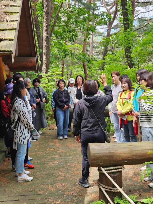 4월 5월 국내여행지 추천, 국내 봄 여행지, 4월 5월 국내여행 가볼만한 곳, 봄 나들이