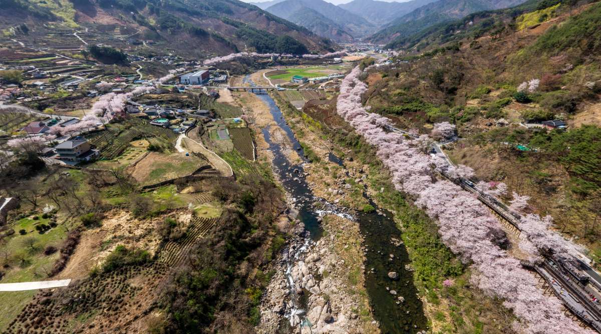 4월 5월 국내여행지 추천, 국내 봄 여행지, 4월 5월 국내여행 가볼만한 곳, 봄 나들이