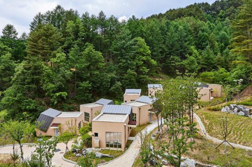 금강송 에코리움, 한국관광 100선에 선정된 웰니스 리조트