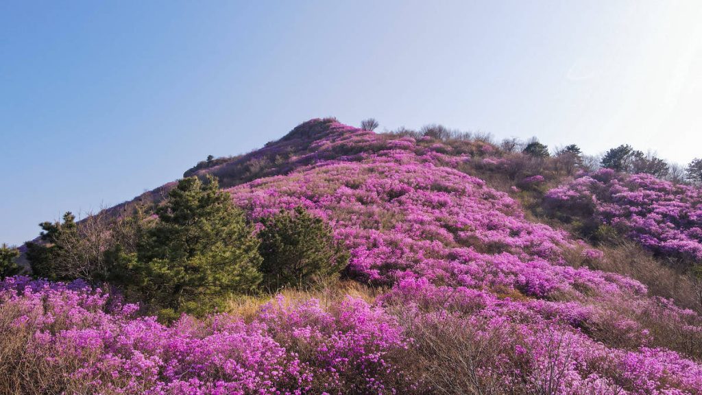 3월 전라도 여행지 추천 여수
