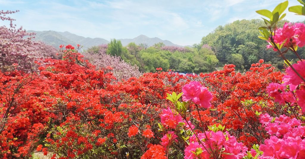 전라도 여행지 추천 전주