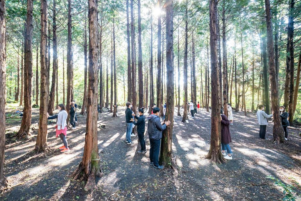 제주we호텔, 제주 we호텔 웰니스, 제주 숙소, 제주 여행