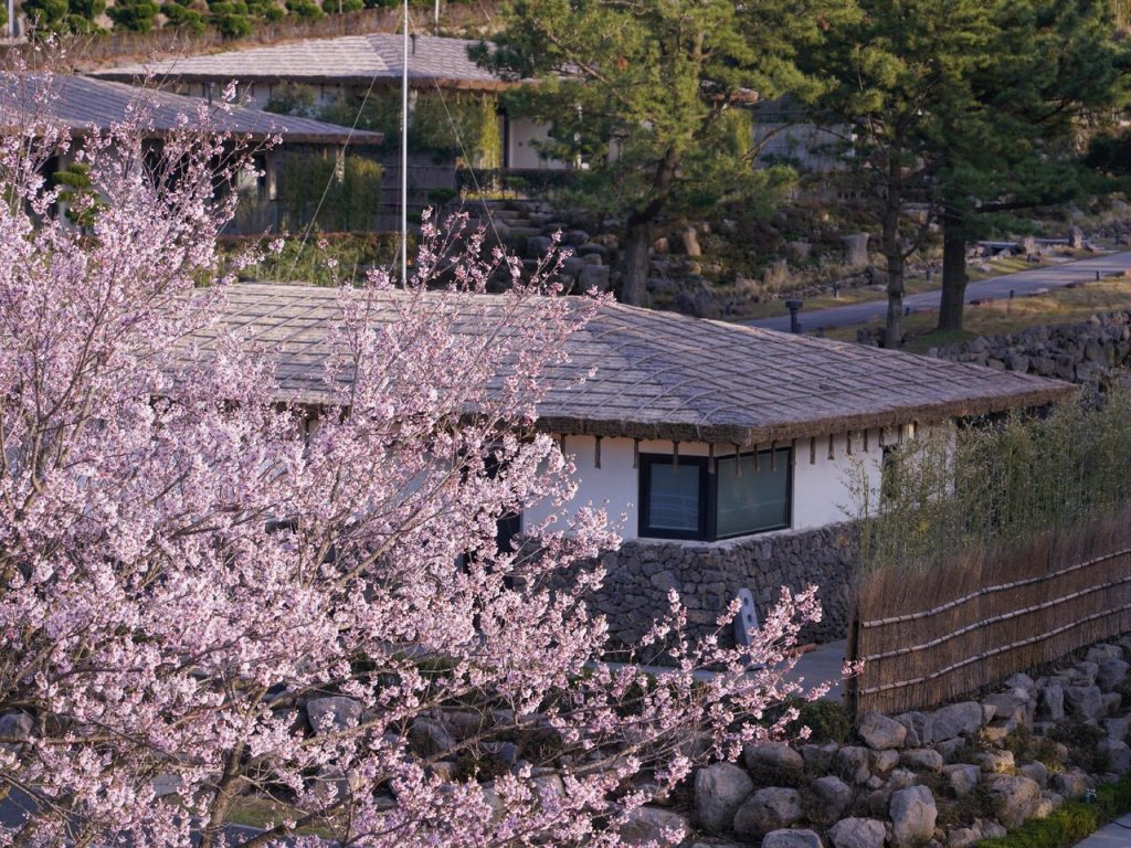 3월 국내여행 제주