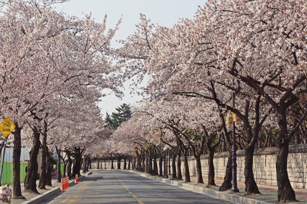 경주숙박, 경주여행숙박, 경주 숙소 추천, 경주 여행